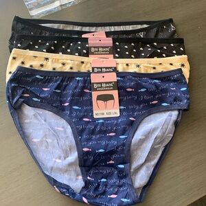 NWT. 4 pack of Ladies panties.